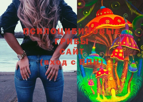 крисы Пролетарск