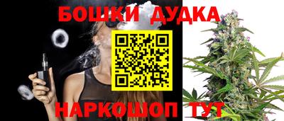 винт Шелехов