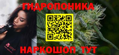 гидропоника Шебекино