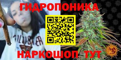 винт Шелехов
