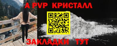 винт Шелехов