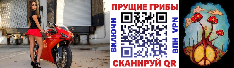 Псилоцибиновые грибы мухоморы Ангарск