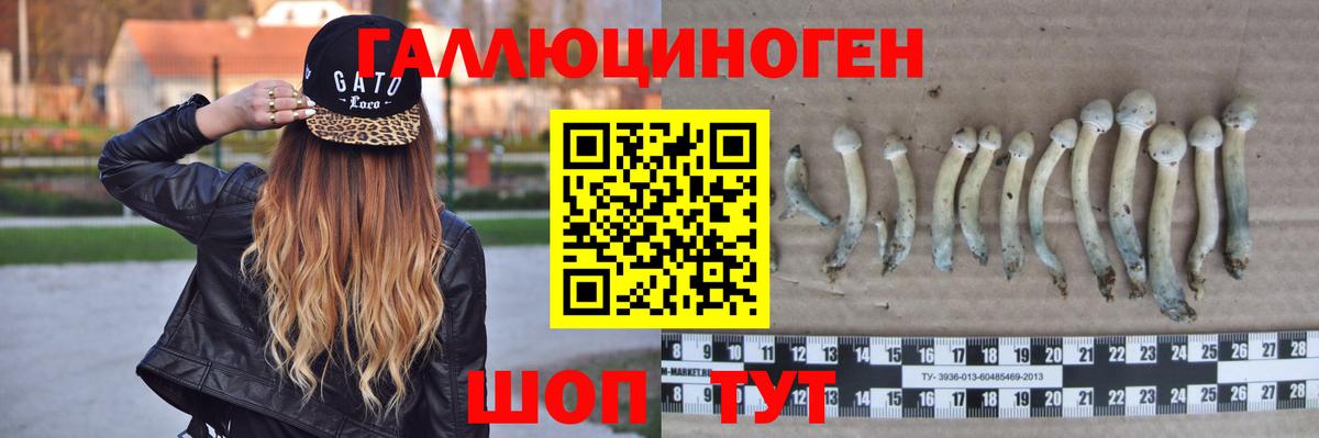 Псилоцибиновые грибы мухоморы Ангарск